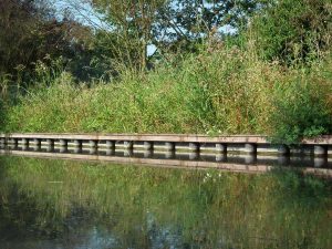 HIP-Groen type Delfland-met afwerking-hout