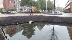 duikers-beschoeiing-hip-groen