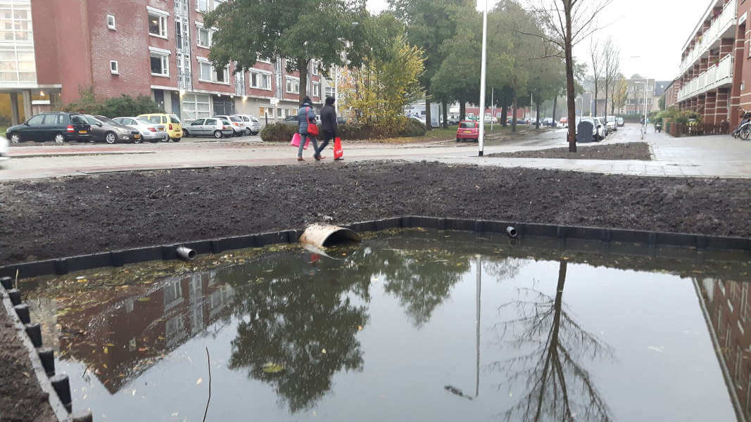 duikers-beschoeiing-hip-groen