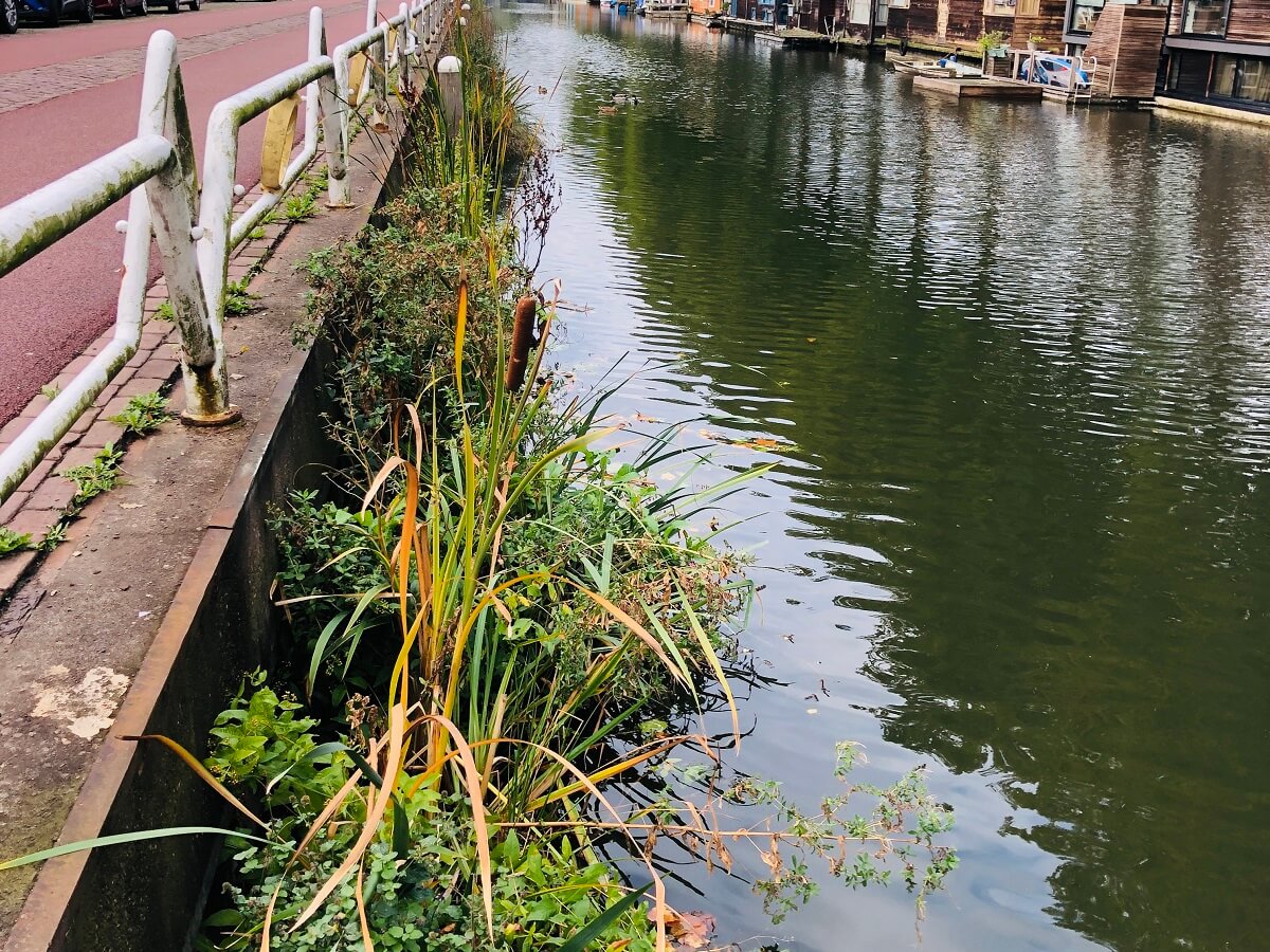 HIP Groen Floatlands in Utrecht