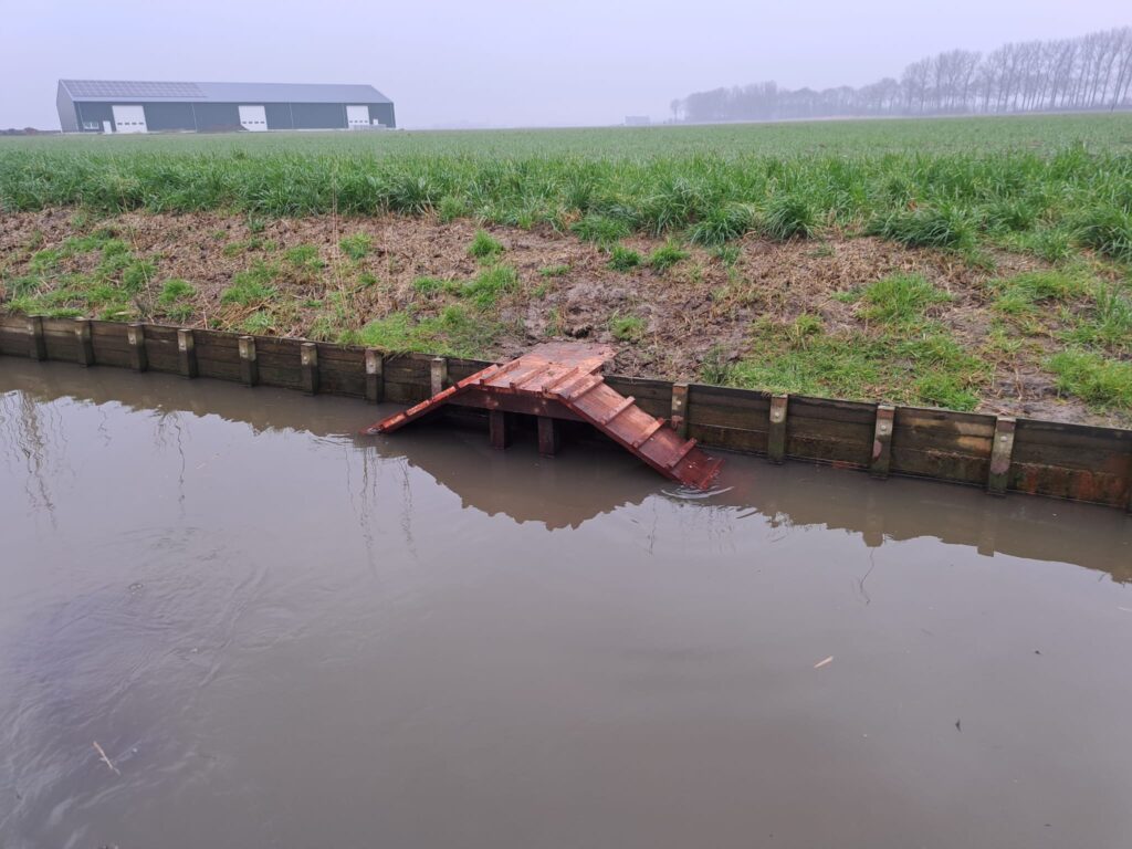 PHOTO 2025 02 13 15 52 25