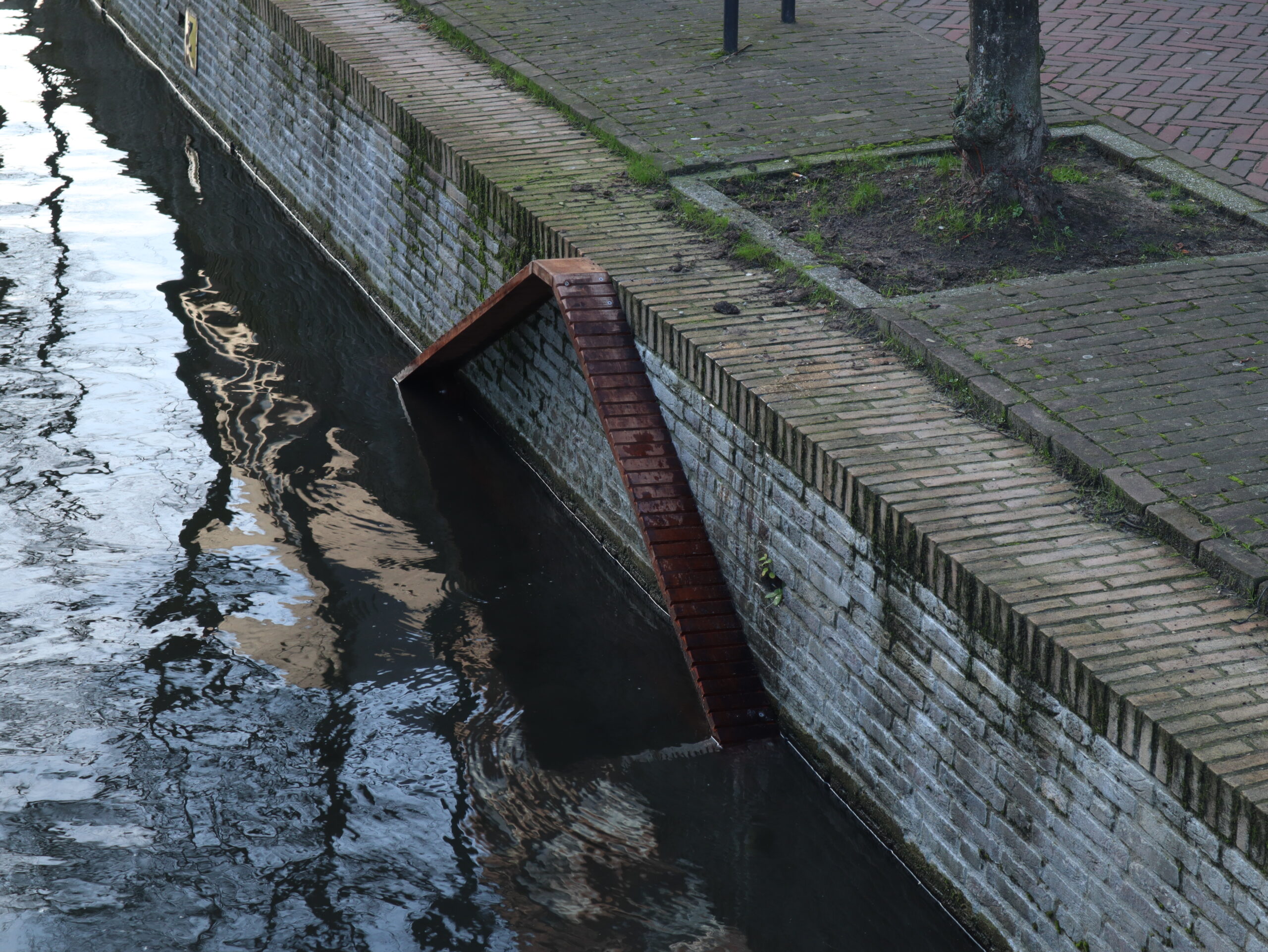 Een faunatrap aan de kademuur in Delft