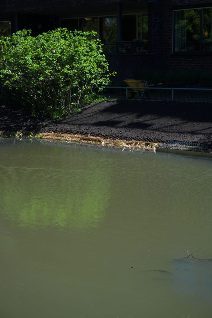 Een foto van de natuurvriendelijke beschoeiing, genomen vanaf de overkant van het water. Aan de rechterkant van de beschoeiing is vraatbescherming aangebracht.