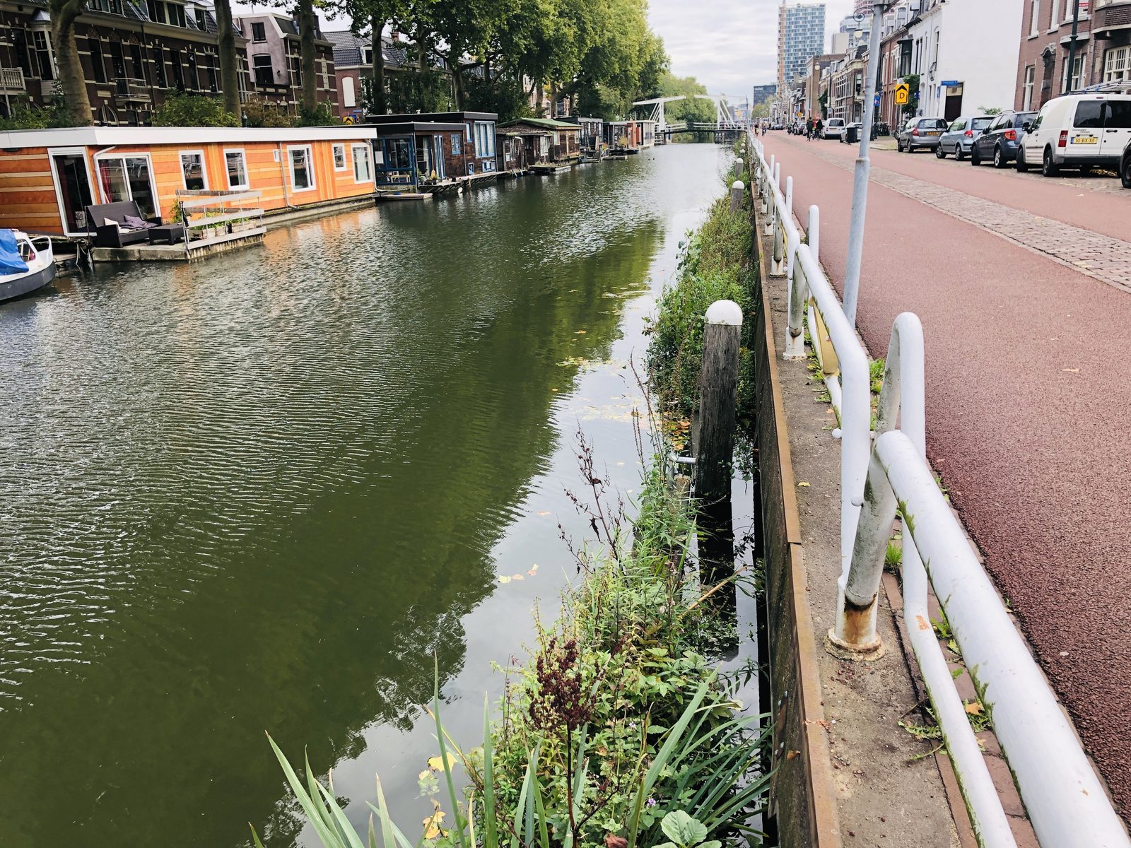 Drijvende tuinen met oeverplanten langs de kade van een Utrechtse gracht