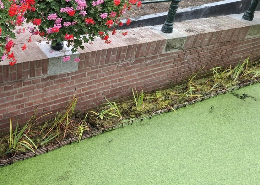 Voorbeplante kokosmat op korven met lava tegen de kademuur in Gouda, oktober 2026