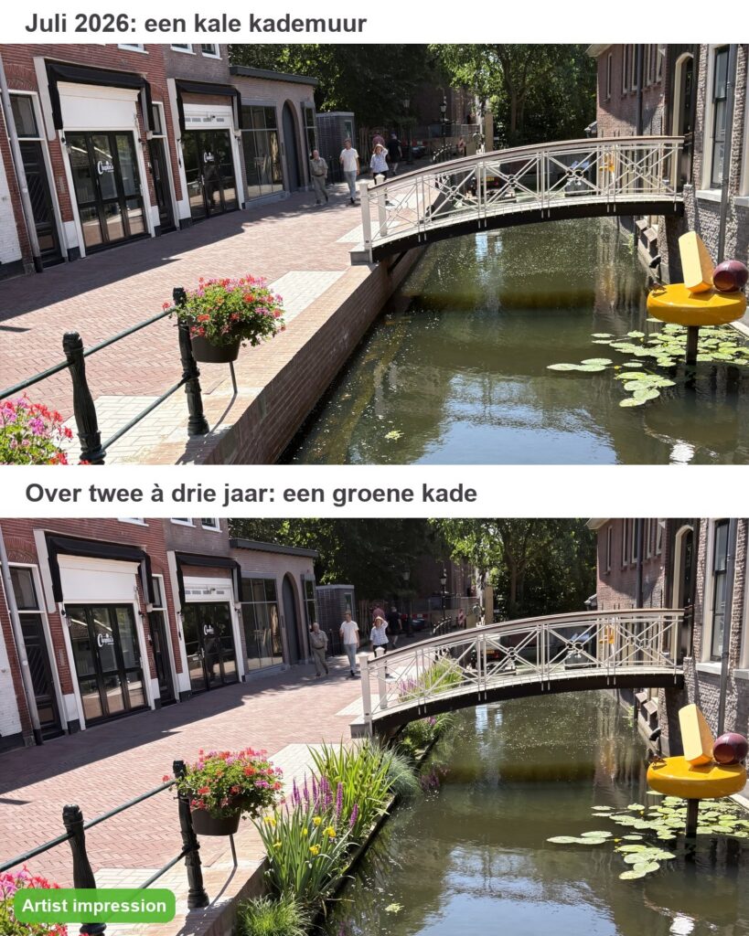 Voor en na: kale kademuur in juli 2026 en artist impression van de groene kade in Gouda
